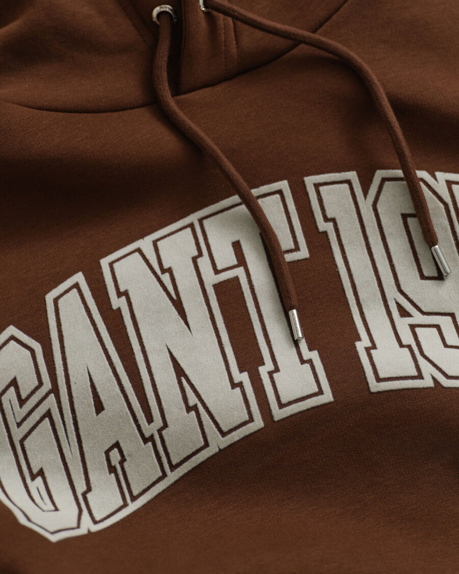 felpa con cappuccio grafica - marrone mogano